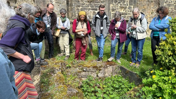 À l'école des plantes